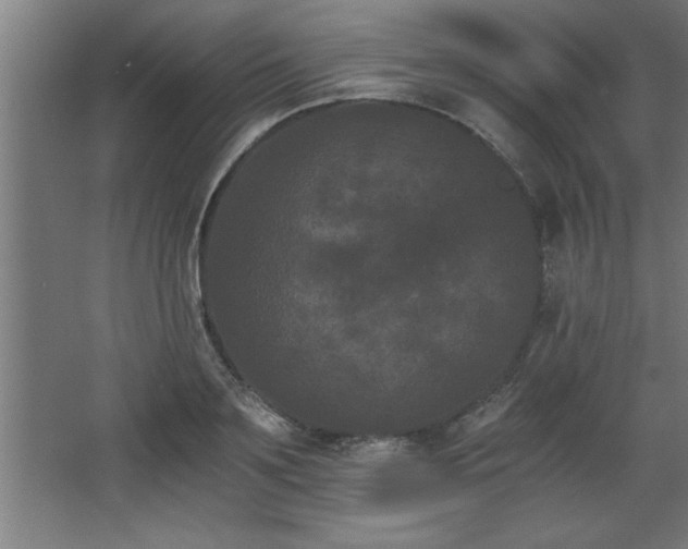 X0000068260891200604281523