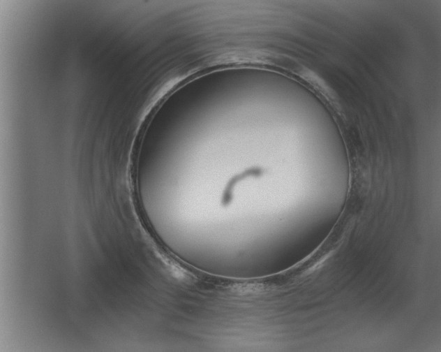 X0000068260893200604281523