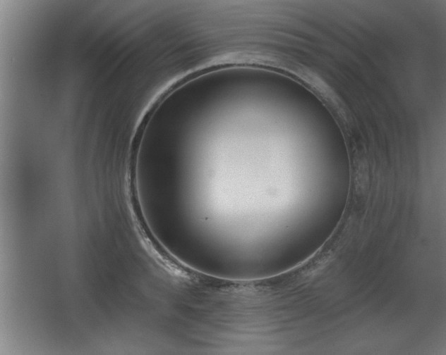 X0000068260896200604281522