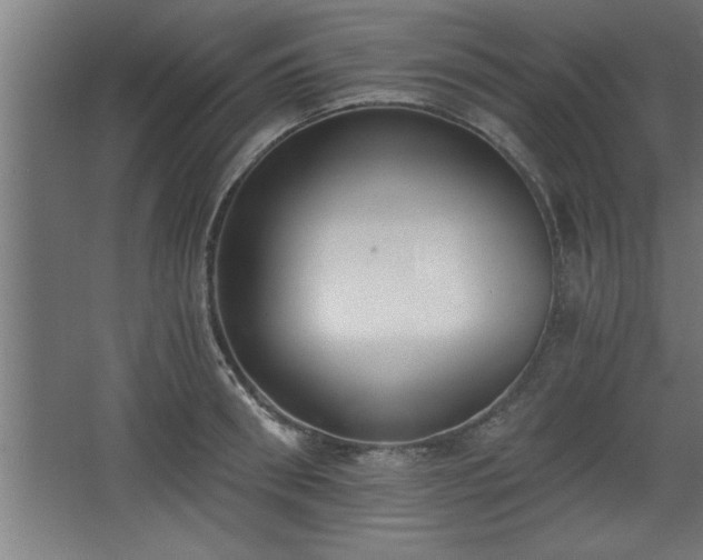 X0000068260898200604281522