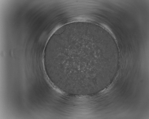 X0000068260899200604281522