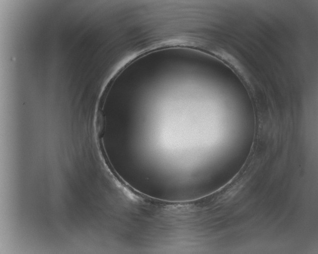 X0000068260902200604281522