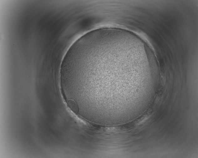 X0000068260903200604281522