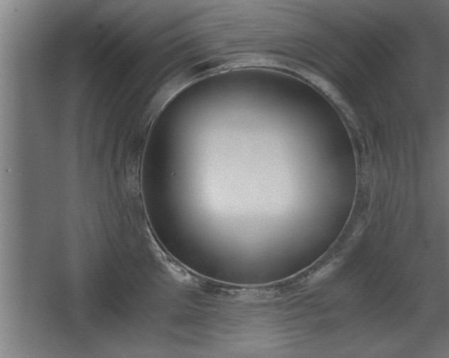 X0000068260905200604281522