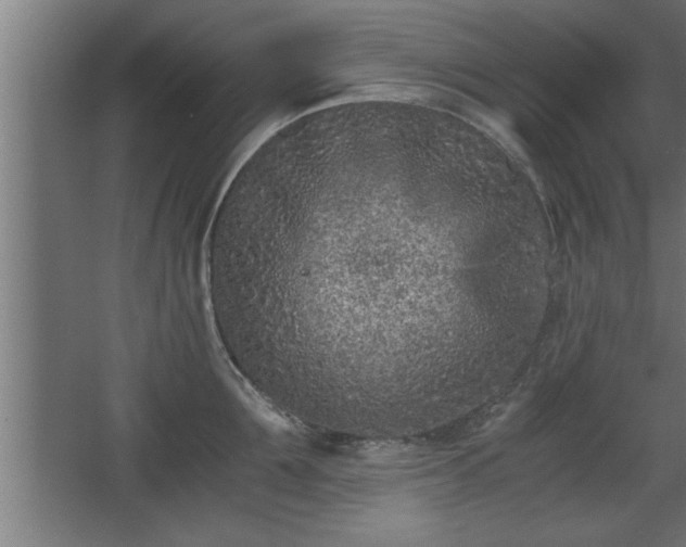 X0000068260907200604281522