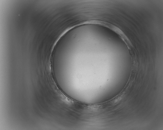 X0000068260908200604281522