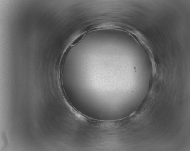 X0000068260909200604281522