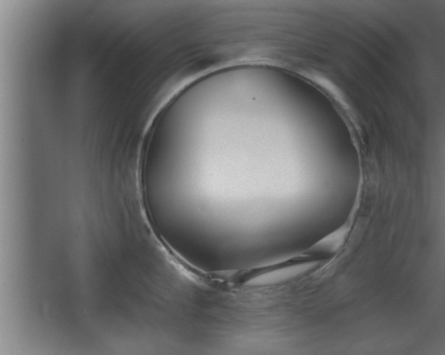 X0000068260910200604281522