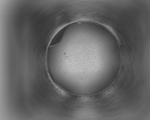 X0000068260911200604281522