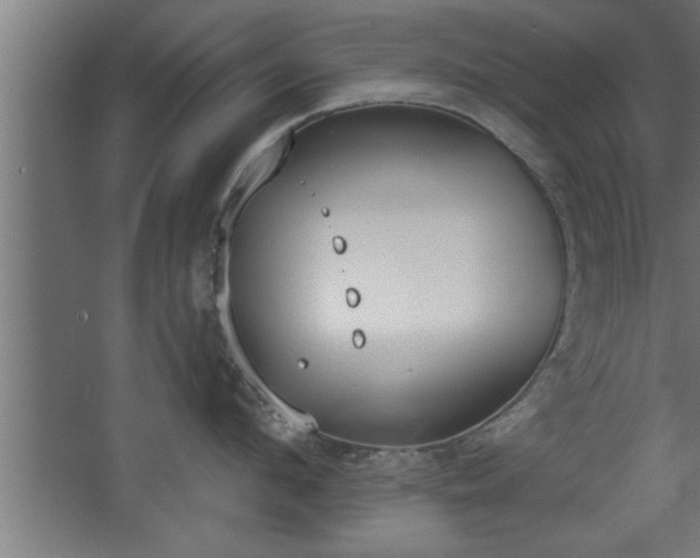 X0000068260912200604281522