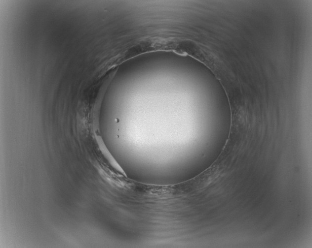 X0000068260914200604281521