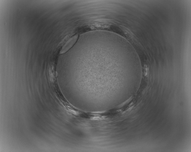 X0000068260915200604281521