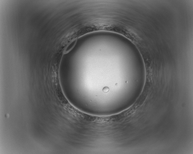 X0000068260917200604281521