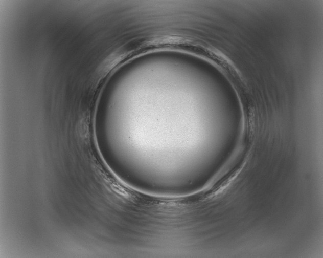 X0000068260921200604281521