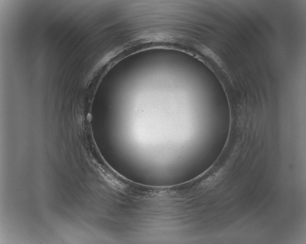 X0000068260922200604281522