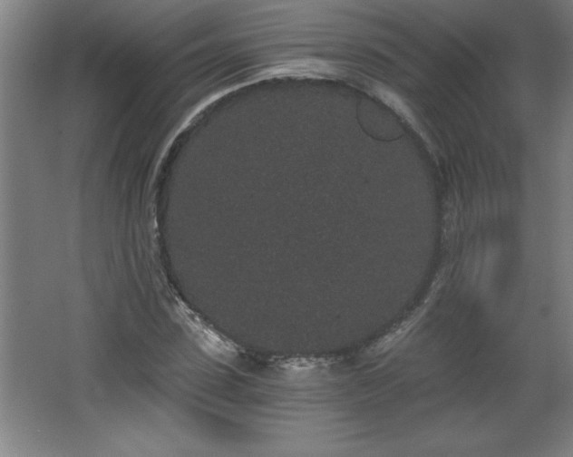 X0000068260923200604281522