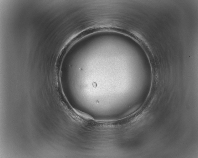 X0000068260925200604281522