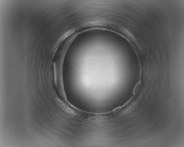 X0000068260930200604281522