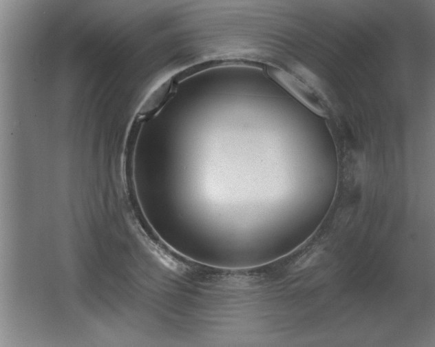 X0000068260932200604281522