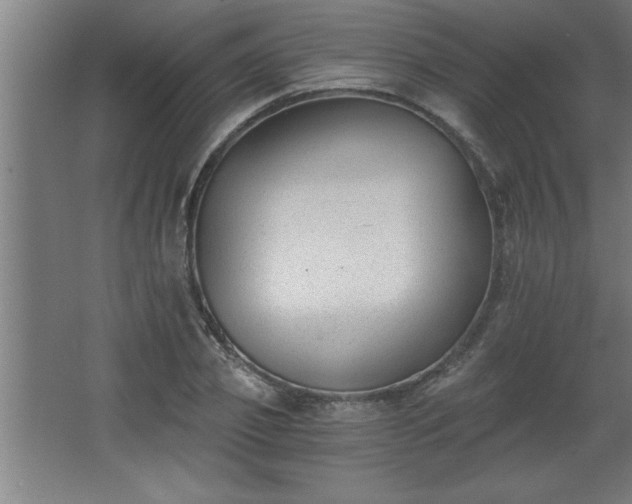 X0000068260933200604281522