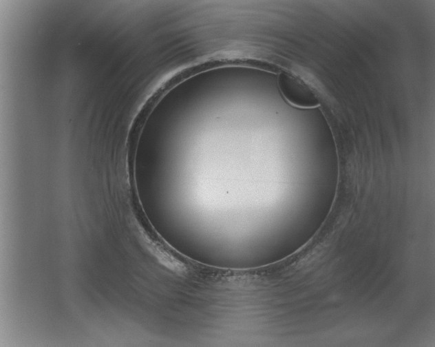 X0000068260934200604281522