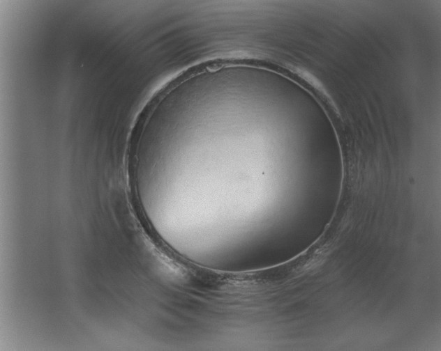 X0000068260935200604281522