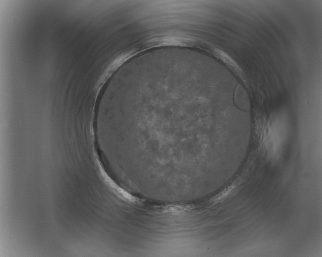 X0000068260938200604281522