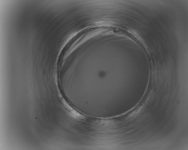 X0000068260941200604281522