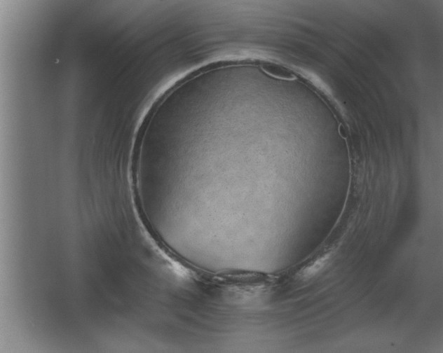 X0000068260943200604281522