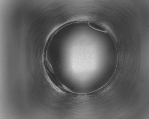 X0000068260944200604281522