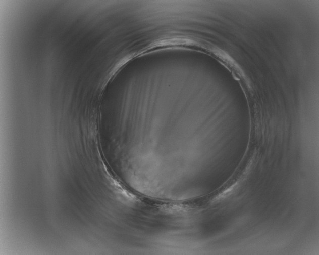 X0000068260945200604281522