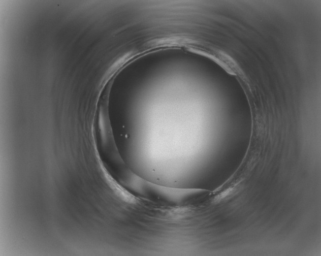 X0000068260946200604281522