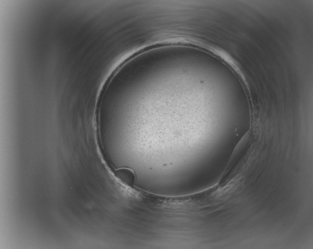 X0000068260951200604281522