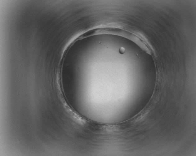 X0000068260952200604281522