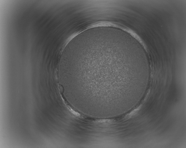 X0000068260953200604281522