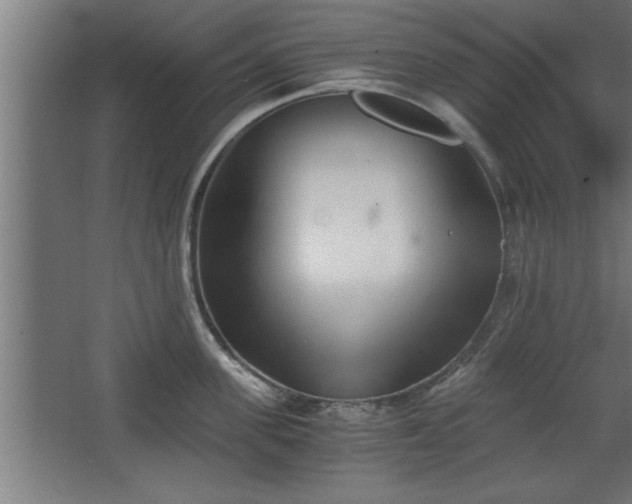 X0000068260955200604281522