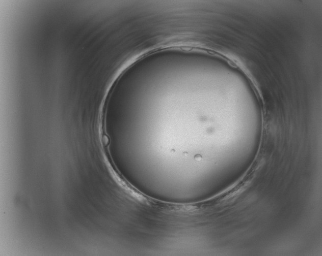 X0000068260957200604281522