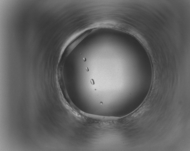 X0000068260960200604281522