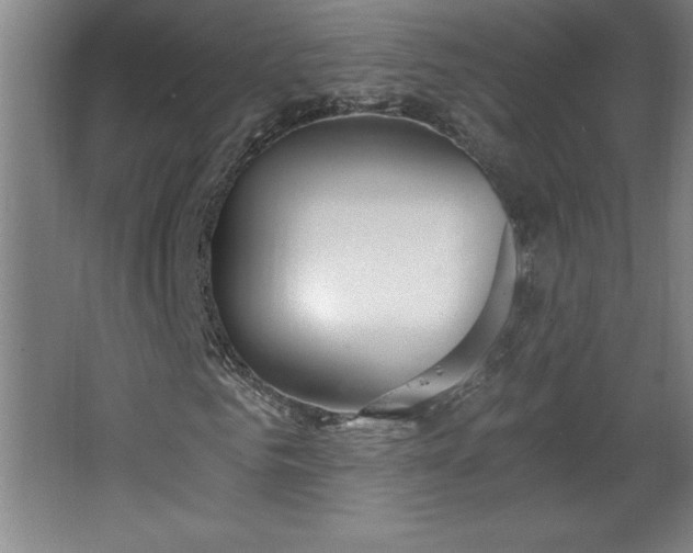 X0000068260961200604281521