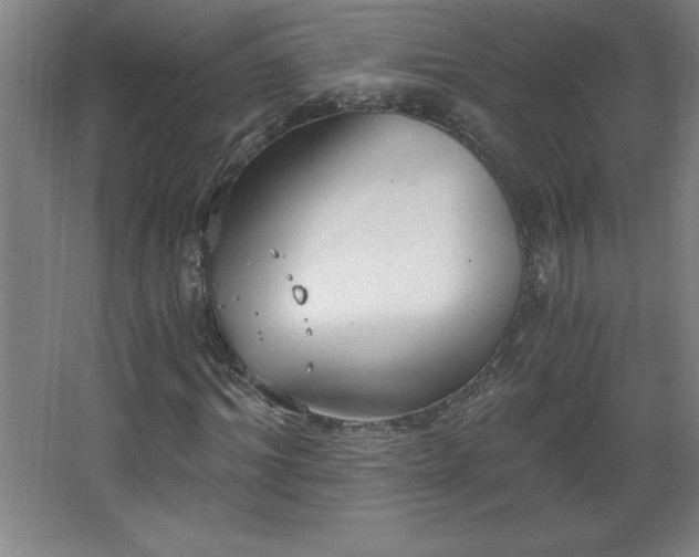 X0000068260964200604281521