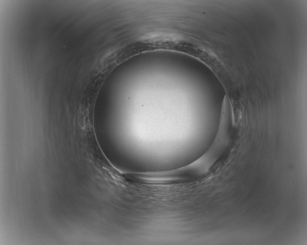 X0000068260965200604281521