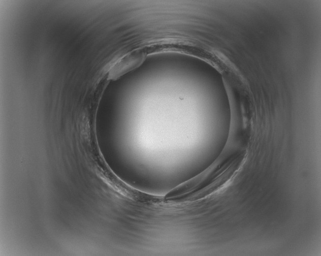 X0000068260969200604281521