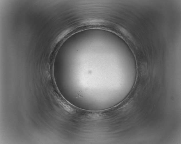 X0000068260970200604281521