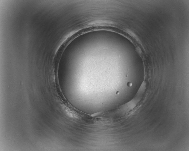 X0000068260973200604281521