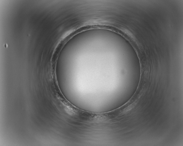 X0000068260974200604281521