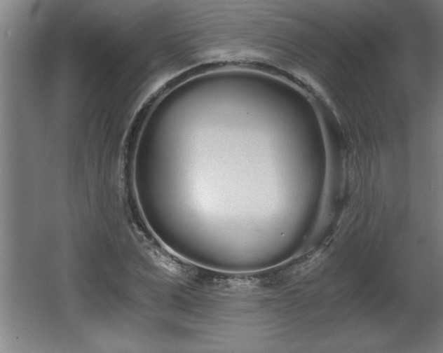 X0000068260975200604281521