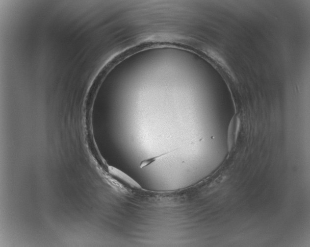 X0000068260976200604281521