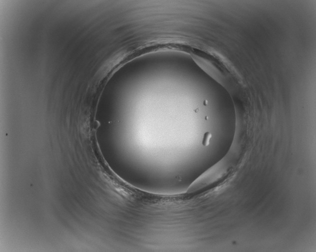 X0000068260977200604281521