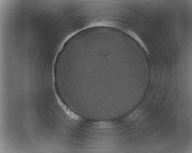 X0000068260980200604281521