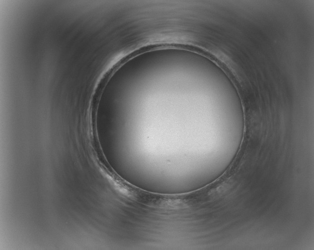 X0000068260982200604281521